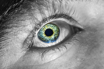 Foto de un ojo, contraste entre Iris de color y blaco y negro.