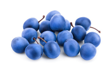 Blackthorn or Sloe berries isolated on white background. Prunus spinosa