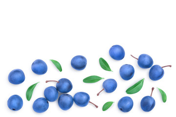 Blackthorn or Sloe berries with leaves isolated on white background with copy space for your text. Top view. Flat lay