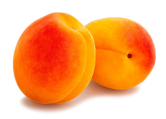 apricot