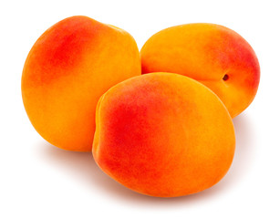apricot