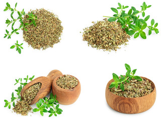 Set or collection dried thyme leaves with fresh thyme isolated on white background