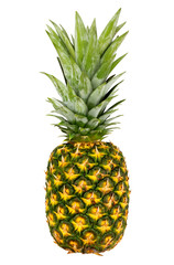 green pineapple