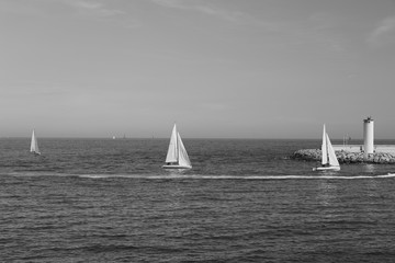 sailing in the sea