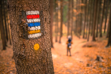 Touristic sign or mark on tree next to touristic path with female tourist in background. Nice autumn scene. Forrest trail.