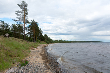 shore of lake Onega in cloudy weather