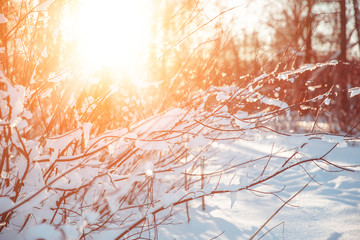 Winter landscape. Winter december  wonderland scene. Christmas, New Year postcard design....