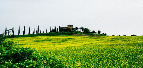 Fototapeta premium Beautiful view in Tuscany, Italy. Rural landscape. Countryside hills and meadows, green and yellow fields and sky. Beautiful world.