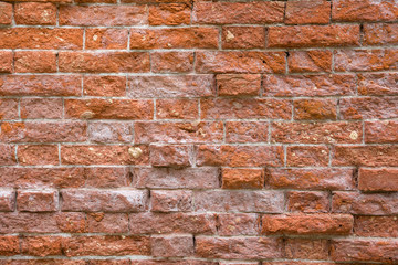 Obraz premium A fragment of a wall of old red brick, whitewashed with sea salt.