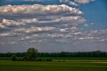 Fototapeta premium green field and blue sky