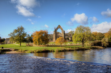 Obraz premium View of medieval ruin Bolton Abbey at autumn. Great Britain.