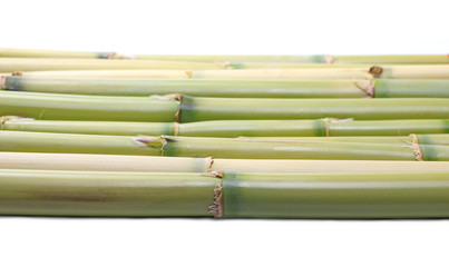Fototapeta premium Bamboo sticks isolated on white background, side view
