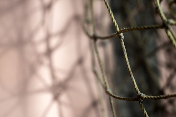 mesh string bags close-up with shadows on the wall