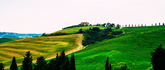 View of a autumn day in the Italian rural landscape. Unique tuscany landscape in fall time. Wave hills, cypresses trees and cloudy sky. Vintage tone filter effect.