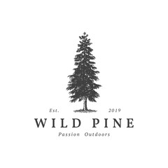 Vintage wild pine design logo vector, Evergreen logo design inspiration - vector