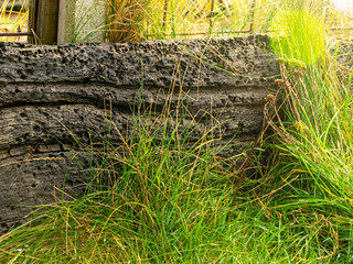 old wooden board and grass background