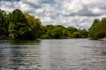 Obraz premium lake in the forest