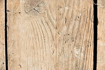 Wooden texture, background, natural color