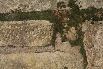 Naturstein  mit Moos, Makro