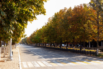 GROZNY, CHECHNYA, RUSSIA - October 06, 2019: autumn street