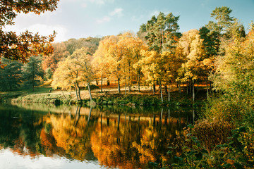 Fototapeta premium autumn in the park at winkworth arboretum in godalming uk