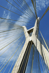 Fototapeta premium cable bridge