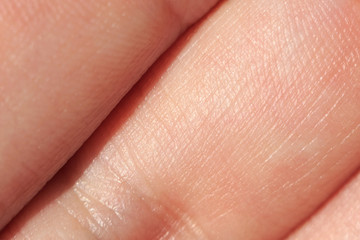 Healthy skin texture of the human fingers