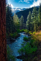 Gordijnen Middle Fork of the Salmon River, Frank Church Wilderness © JohnMichael