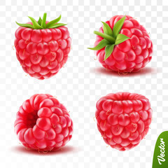 3d realistic transparent isolated vector set, whole and slice of raspberry with green tail - obrazy, fototapety, plakaty