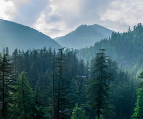 A mountain valley, Jibhi, Tirthan Valley, Himachal Pradesh, India