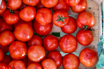 fresh tomatoes on the vine in a wooden crate