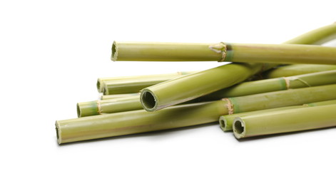 Green bamboo sticks isolated on white background, side view