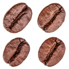 Single coffee beans isolated on white background. Top view