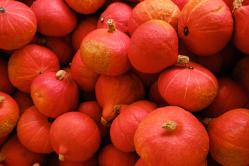 Pumpkins background. Pumpkin closeup. Natural fresh organic vegetable. Healthy eating, raw food diet. Autumn colors, fall season agriculture. Top view. Pumpkin day, Thanksgiving and Halloween. Poster