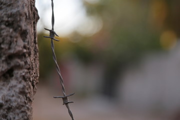 razorwire on gate