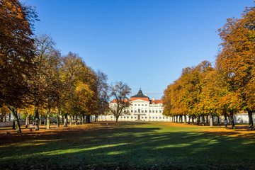 autumn alley in the park with colorful leaves