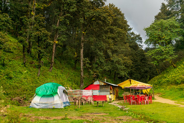 Fototapeta na wymiar camping tents in the forest, Jalori Pass, Tirthan Valley, Himachal Pradesh, India
