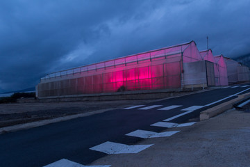 Invernadero industrial de cubierta plástica con luz artificial