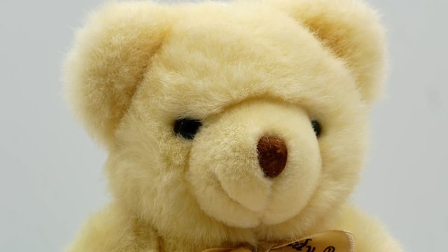 Teddy bear on a white background 4k