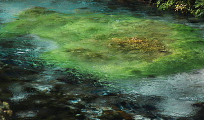 water in the river