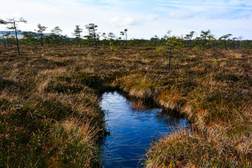 An iced moor eye in the Black Moor in the high Rhön, Bavaria, Germany