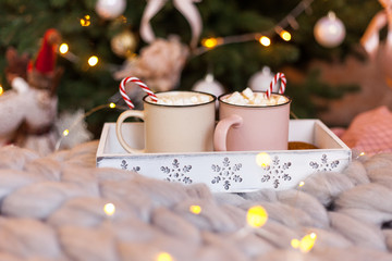 Christmas concept, hot coffee or cocoa candy canes and marshmallows