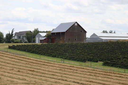 old barn in the field