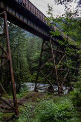 old wooden bridge in the forest