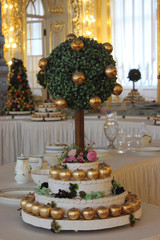 Tree with Golden apples on the holiday table