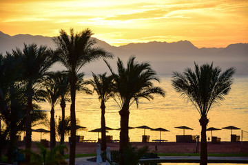 Obraz premium Sunset and palm trees in Taba, Egypt.