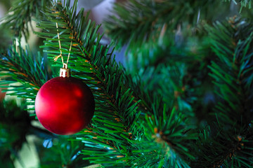 Obraz na płótnie Canvas Christmas balls on the Christmas tree branch. Selective focus