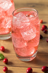 Refreshing Cranberry Lemon Lime Soda