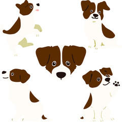 set of Jack Russell Terrier puppy flat colored