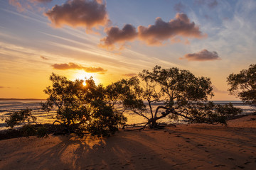 Fototapeta na wymiar Beach sunset behind trees